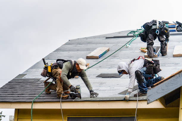 Professional Roofing technician working in Conway, WA